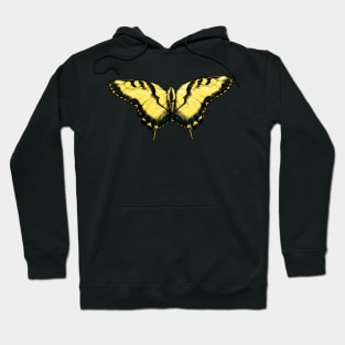 Western Tiger Swallowtail Butterfly Hoodie